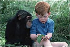 Due piccole modifiche nel gene FOXP2 fanno la differenza tra la parola dell'uomo e i gridi dello scimpanz.