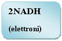 Rounded Rectangle: 2NADH
(elettroni)
