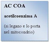 Text Box: AC COA
acetilcoenzima A
(si legano e lo porta nel mitocondrio)

