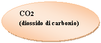 Oval: CO2                           (diossido di carbonio)