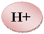 Oval: H+
