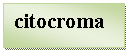 Text Box: citocroma