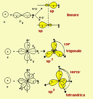 ibridazioni lineare, trigonale e teraedrica