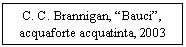 Text Box: C. C. Brannigan, 