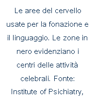 Text Box: Le aree del cervello usate per la fonazione e il linguaggio. Le zone in nero evidenziano i centri delle attivit celebrali. Fonte: Institute of Psichiatry, Londra 2001