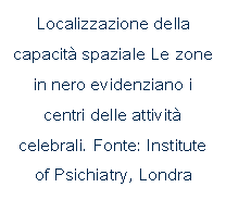 Text Box: Localizzazione della capacit spaziale Le zone in nero evidenziano i centri delle attivit celebrali. Fonte: Institute of Psichiatry, Londra 2001