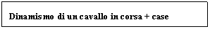 Text Box: Dinamismo di un cavallo in corsa + case