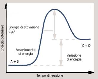 C:Documents and SettingsSabriDesktopvuotoastronomicaSenza titolo-1.jpg