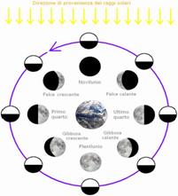 https://astronomica.supereva.it/imh/fasi-lunari.JPG