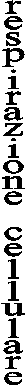 respirazione  cellulare