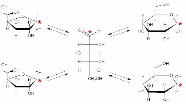 Immagine:Glucidi interconversione forme cicliche.png