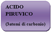 Rounded Rectangle: ACIDO PIRUVICO
(3atomi di carbonio)
