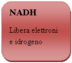 Rounded Rectangle: NADH
Libera elettroni e idrogeno
