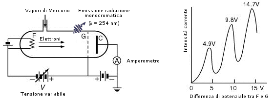 Immagine%201