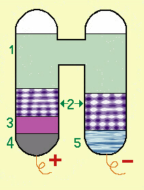 schema della cella weston