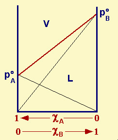 diagramma isotermo ideale liquido-vapore per un sistema bicomponente