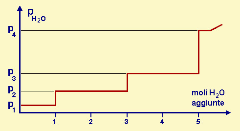 diagramma isotermo per un sale poli-idrato