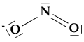ione nitrito 2