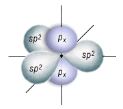 ibridi sp2