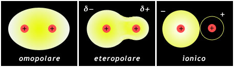 omopolare-eteropolare-ionico