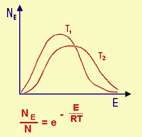 la legge di distribuzione di Maxwell-Boltzmann