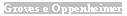 Text Box: Groves e Oppenheimer