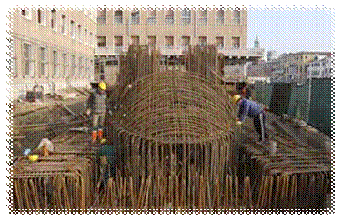 F:tesina la strada Calatrava4 ponte VeneziaimmaginiImmagine 2.png