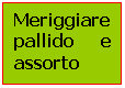 Text Box: Meriggiare pallido e assorto

