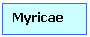 Text Box: Myricae