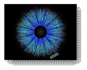 First_Gold_Beam-Beam_Collision_Events_at_RHIC_at_100_100_GeV_c_per_beam_recorded_by_STAR.jpg