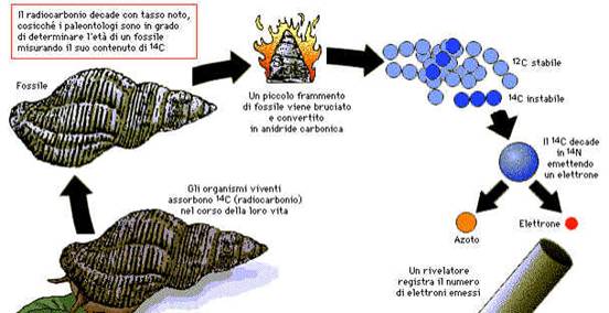 La datazione al radiocarbonio