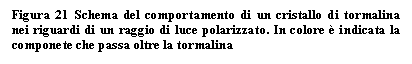 Text Box: Figura 21 Schema del comportamento di un cristallo di tormalina nei riguardi di un raggio di luce polarizzato. In colore  indicata la componete che passa oltre la tormalina

