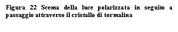 Text Box: Figura 22 Scema della luce polarizzata in seguito a passaggio attraverso il cristallo di tormalina

