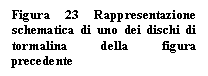 Text Box: Figura 23 Rappresentazione schematica di uno dei dischi di tormalina della figura precedente

