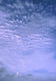 cirrocumulus.jpg (24918 byte)