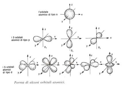 C:Documents and SettingsSabriDesktopvuotofisicaforma_orbitali.jpg