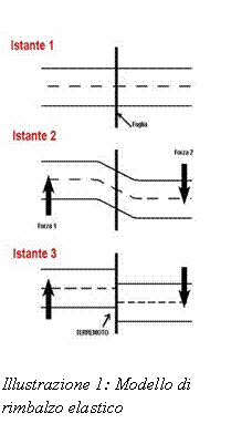 Text Box:  Illustrazione 3: Modello di rimbalzo elastico