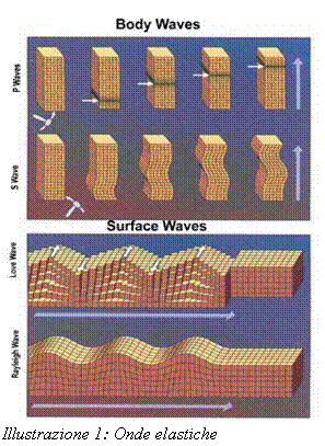 Text Box:  Illustrazione 4: Onde elastiche