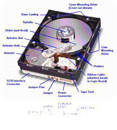 hard disk.jpg