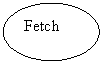 Oval: Fetch