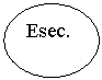 Oval: Esec.