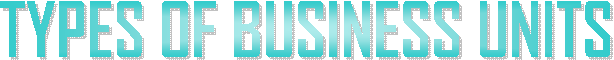 TYPES OF BUSINESS UNITS