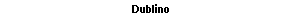 Text Box: Dublino