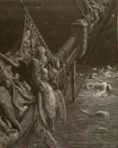 C:Documents and SettingsFrancescoDesktopTESINAinglesematerialemariner_watersnakes.jpg