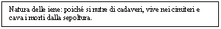 Text Box: Natura delle iene: poich si nutre di cadaveri, vive nei cimiteri e cava i morti dalla sepoltura.