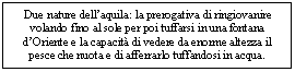 Text Box: Due nature dell'aquila: la prerogativa di ringiovanire volando fino al sole per poi tuffarsi in una fontana d'Oriente e la capacit di vedere da enorme altezza il pesce che nuota e di afferrarlo tuffandosi in acqua.