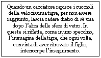 Text Box: Quando un cacciatore rapisce i cuccioli della velocissima tigre, per non essere raggiunto, lascia cadere dietro di s una dopo l'altra delle sfere di vetro. In queste si riflette, come in uno specchio, l'immagine della tigre, che ogni volta, convinta di aver ritrovato il figlio, interrompe l'inseguimento.