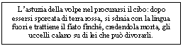 Text Box: L'astuzia della volpe nel procurarsi il cibo: dopo essersi sporcata di terra rossa, si sdraia con la lingua fuori e trattiene il fiato finch, credendola morta, gli uccelli calano su di lei che pu divorarli.