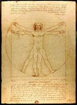 L'Uomo Vitruviano, Studio di proporzionalit di un corpo umano, Venezia, Gallerie dell'Accademia