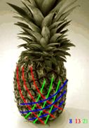 Zapfen_Ananas (2)